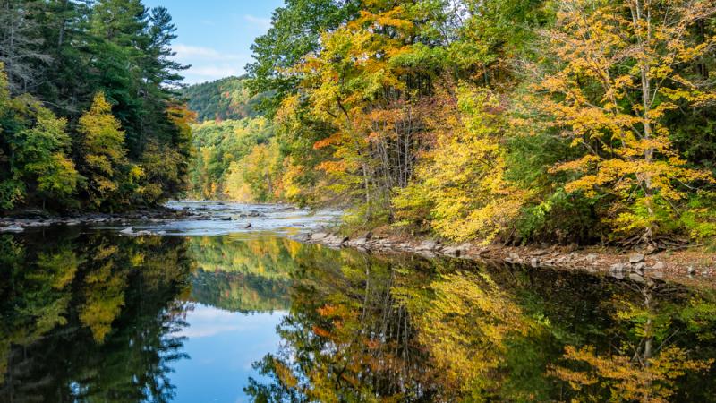 Housatonic river with fall colors