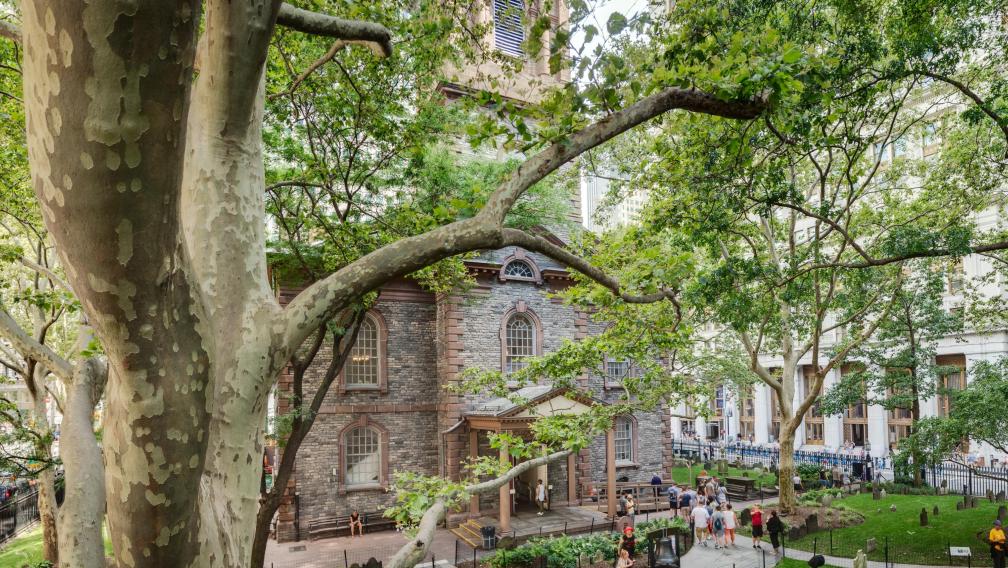 St. Paul's Chapel Churchyard and large trees