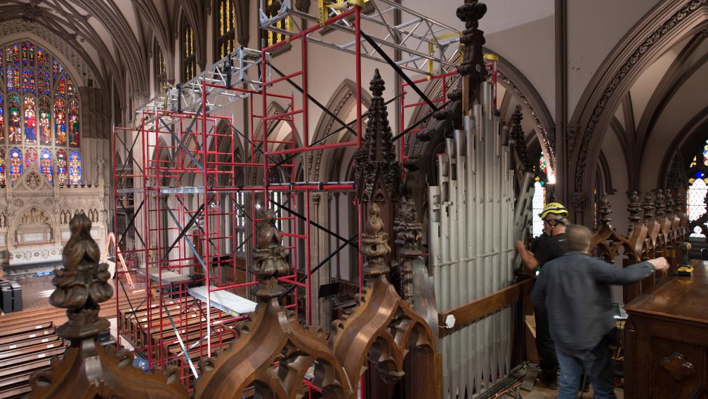 Organ dismantle during Rejuvenation