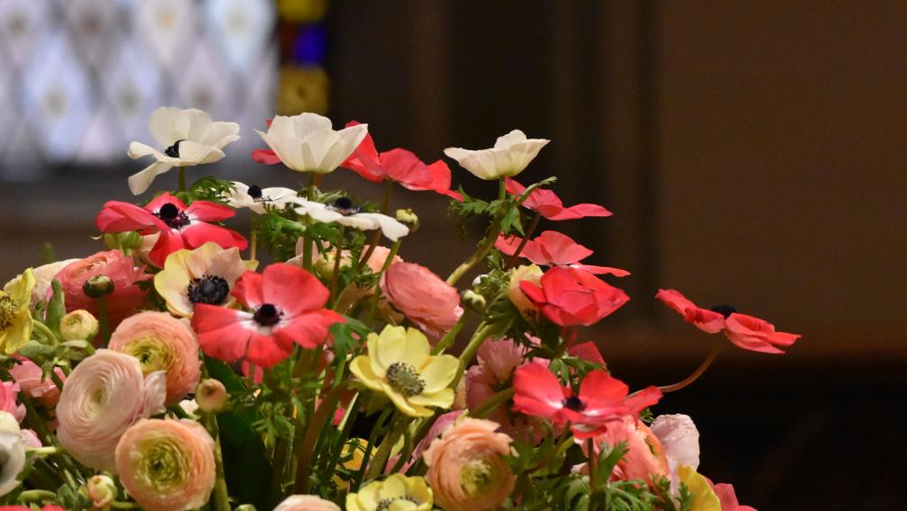 Easter flowers in Trinity Church — bright and soft pink, yellow, and white flowers with a stained glass window in the background