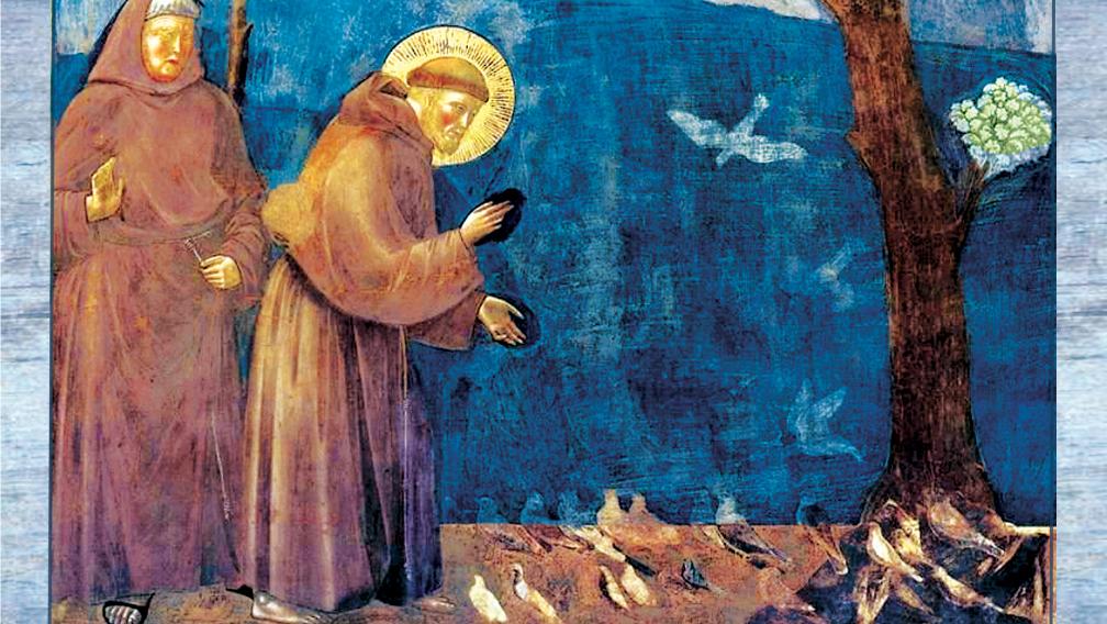 St. Francis preaches to the birds in this late medieval Giotto fresco