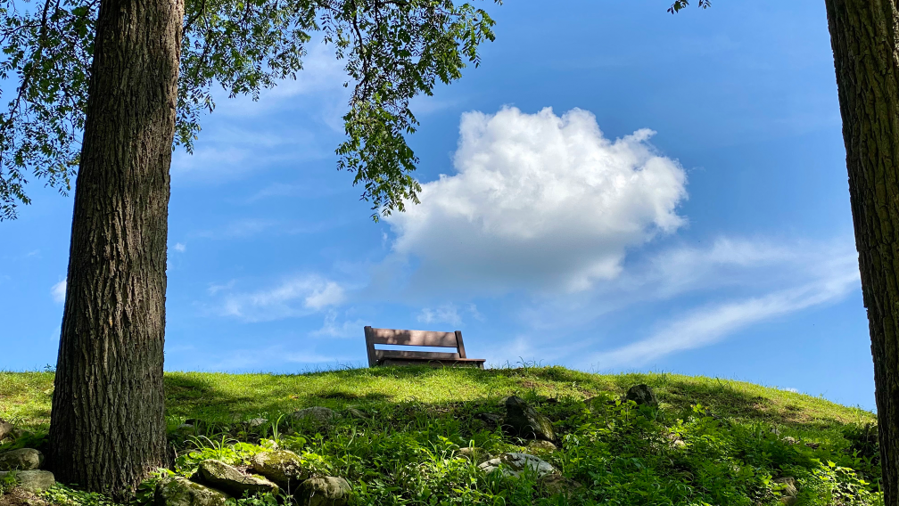 A wooden bench sit atop a grassy sun-drenched hill against a blue-sky backdrop with a fluffy white cloud