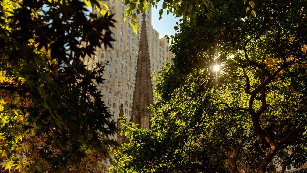 Trinity church tower behind trees