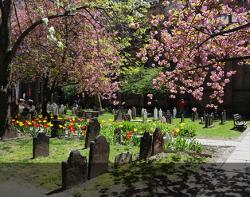 Trinity Churchyard