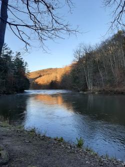 Photo of river from the bank