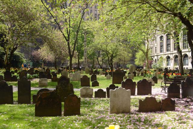 Trinity's North Churchyard in Spring