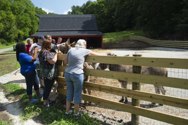 Joe Rose and former campers and counselors visit the donkey sanctuary at the Trinity Retreat Center. 