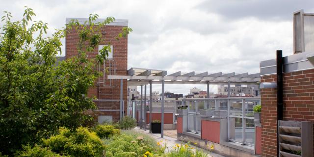 The rooftop garden atop Castle Gardens, Fortune's residentially development and service center in West Harlem.