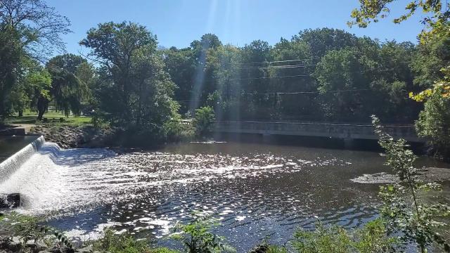 Photo of river from the bank.