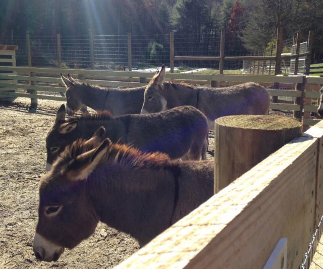 Trinity Retreat Center, photo by Judy Stachow