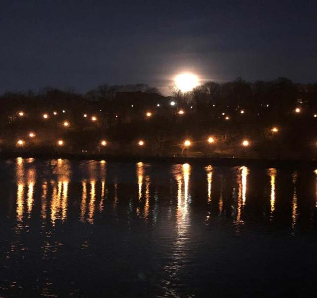 Photo by Beth Johanning