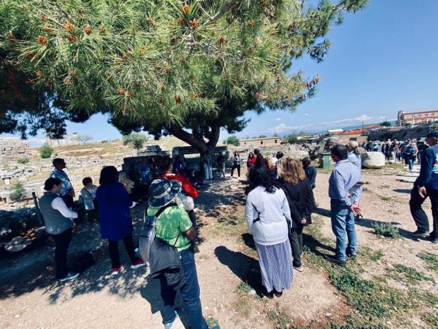 Group of people stand in the shade of a tree