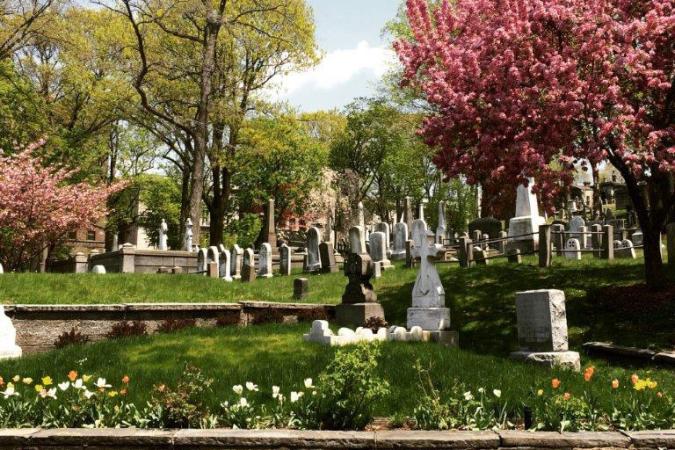 View of headstones and flowering trees