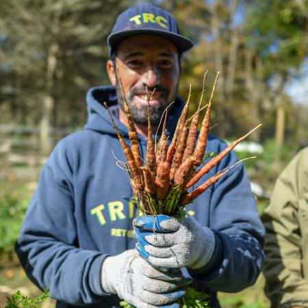 Retreat Center Caretaker Ashraf Aljasem harvests carrots