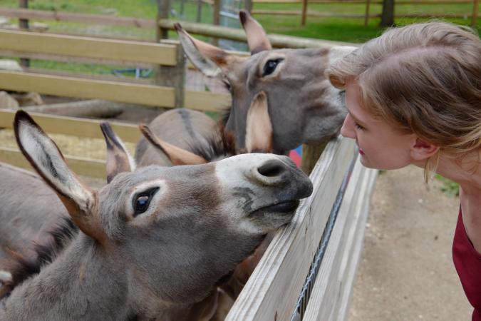 A woman and a donkey look in each other's eyes