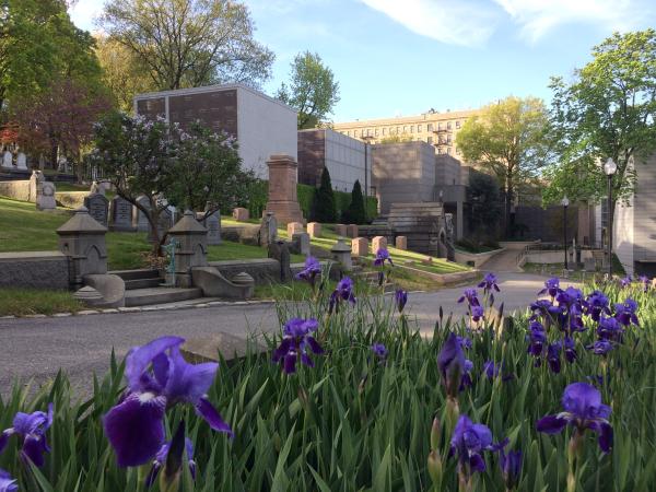 The mausoleum in spring, with purple flowers.