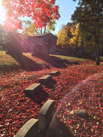 Cemetery in Autumn