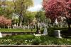 View of headstones and flowering trees