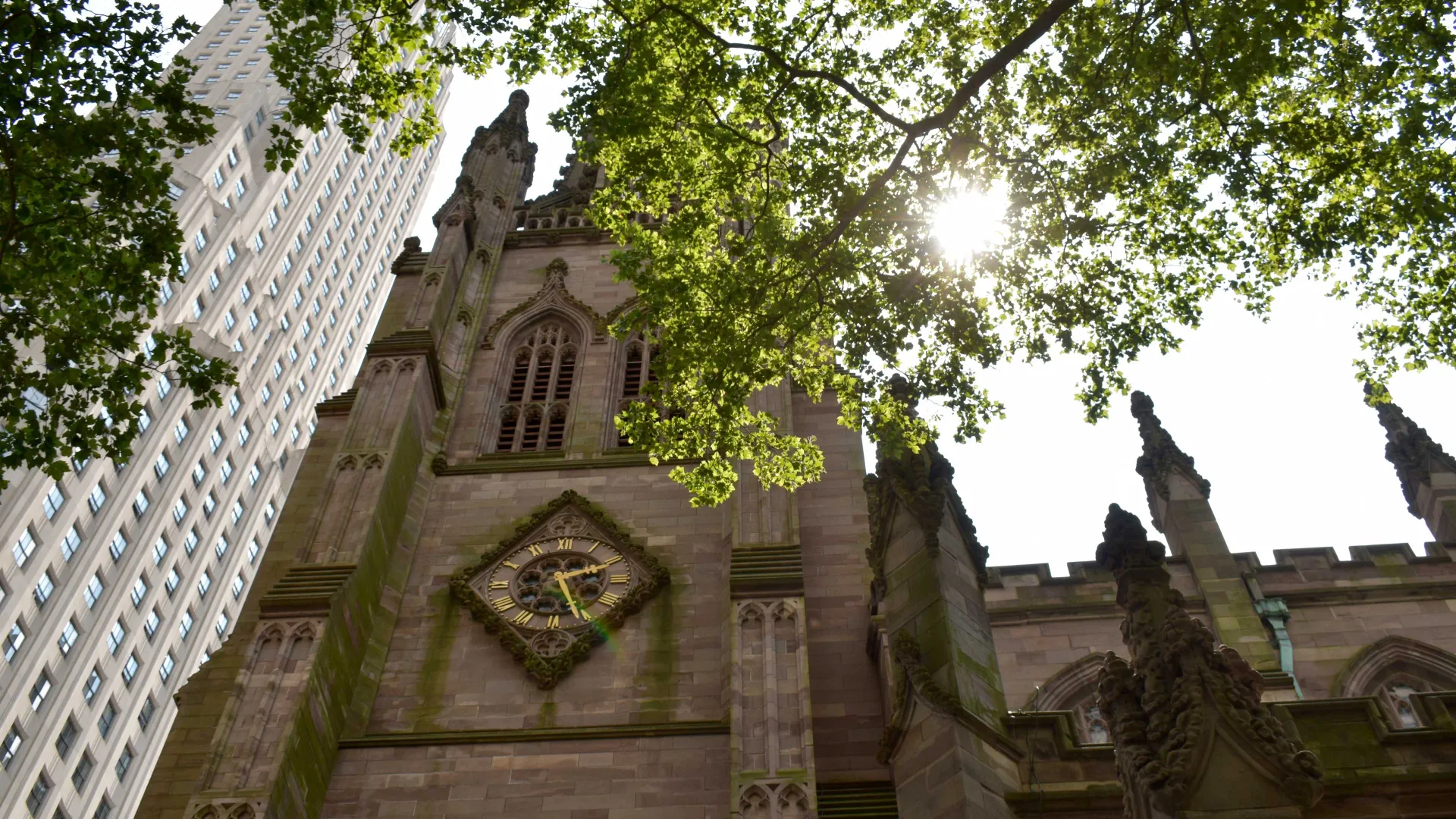 Exterior of the north side of Trinity Church, looking up at its steeple through green leaves as the sun streams through.