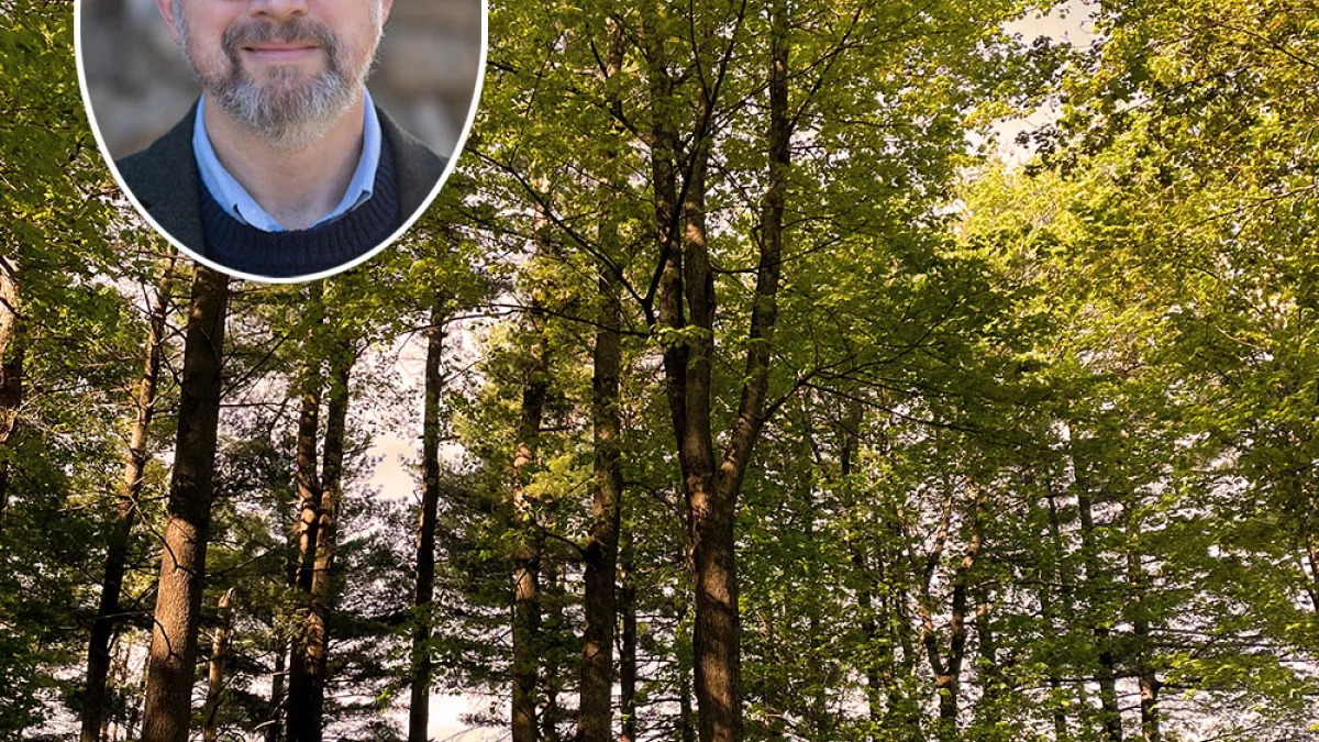 Image of Trinity Forest and retreat leader