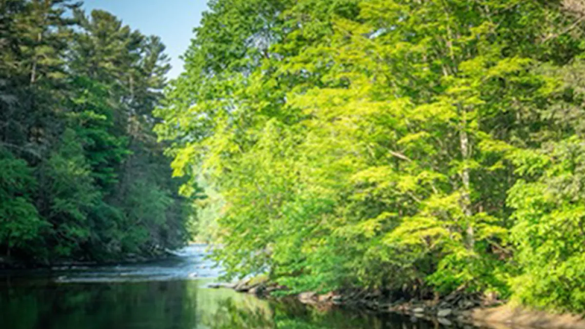 TRC A Praying and Discerning