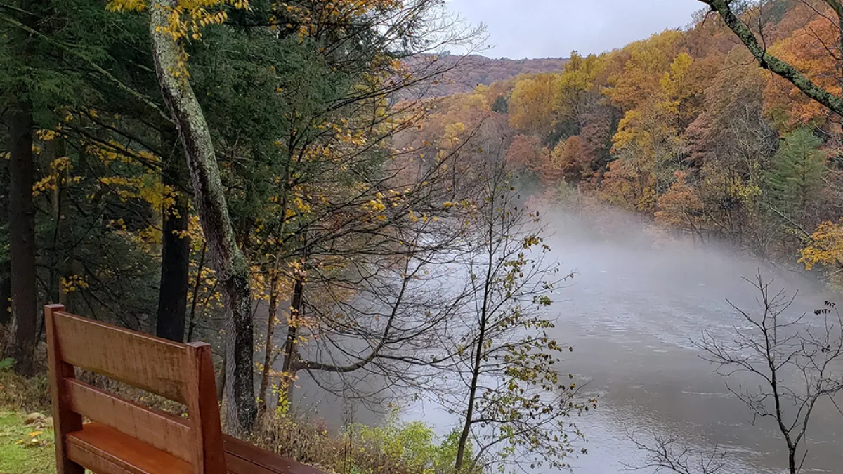 A wooden bench on a hill overlooking a foggy river in the middle of a forest of autumnal foliage