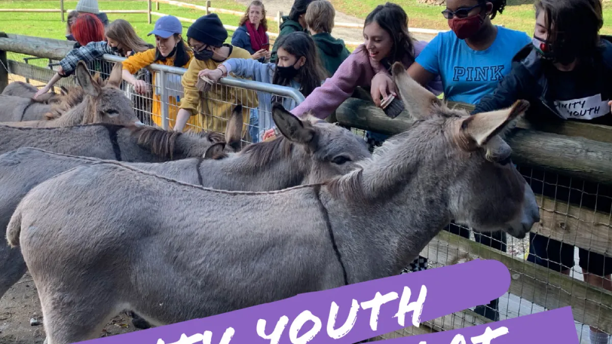 Youth petting donkeys