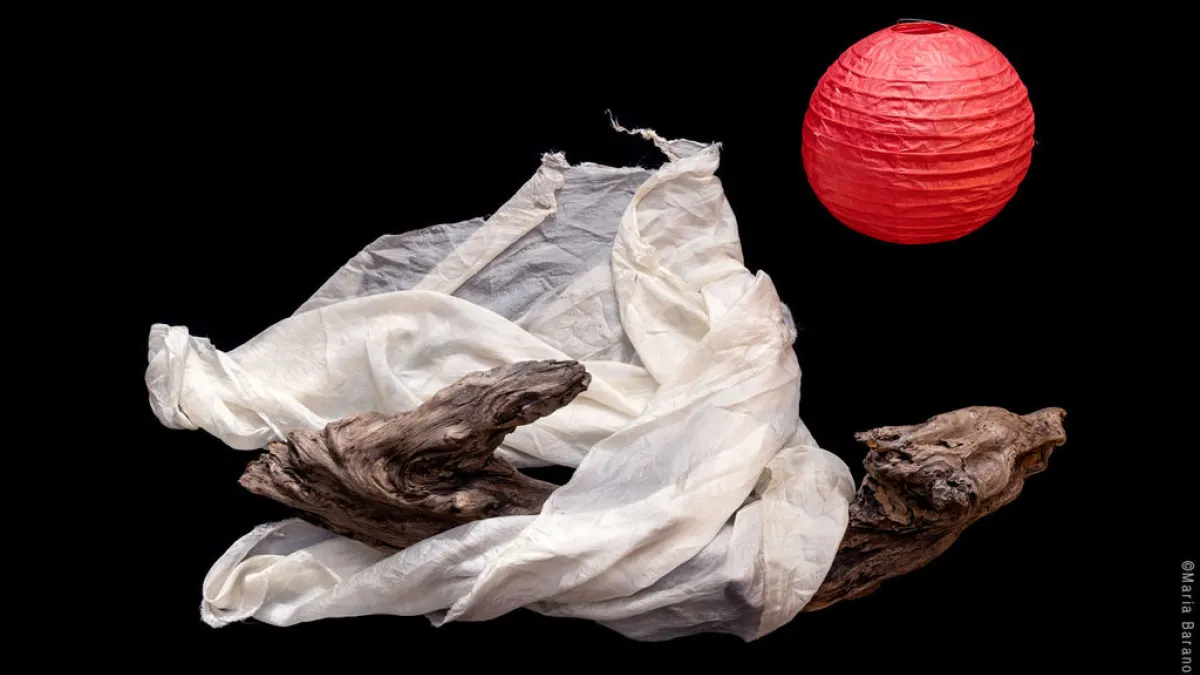 Book of Mountains and Seas