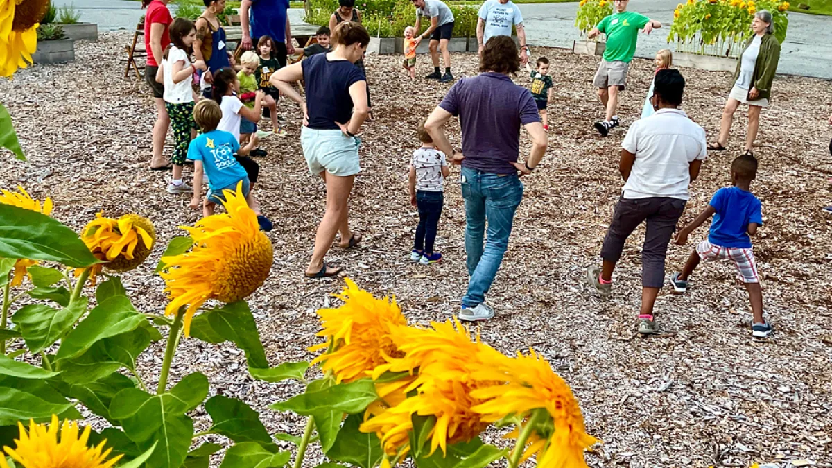 Families playing in a sunflower garden