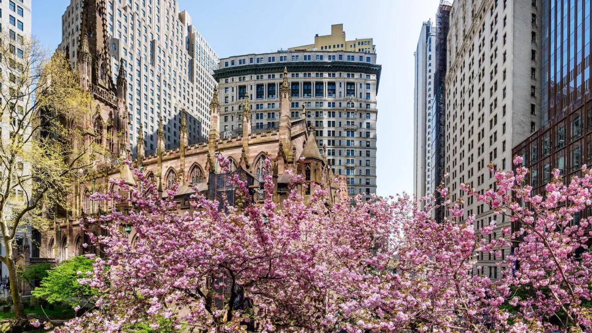 Trinity Churchyard with cherry blossoms