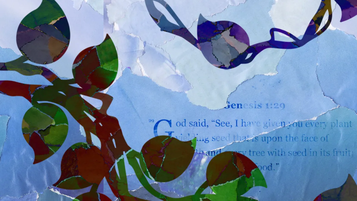Leafy vines overlay a Bible passage about Creation