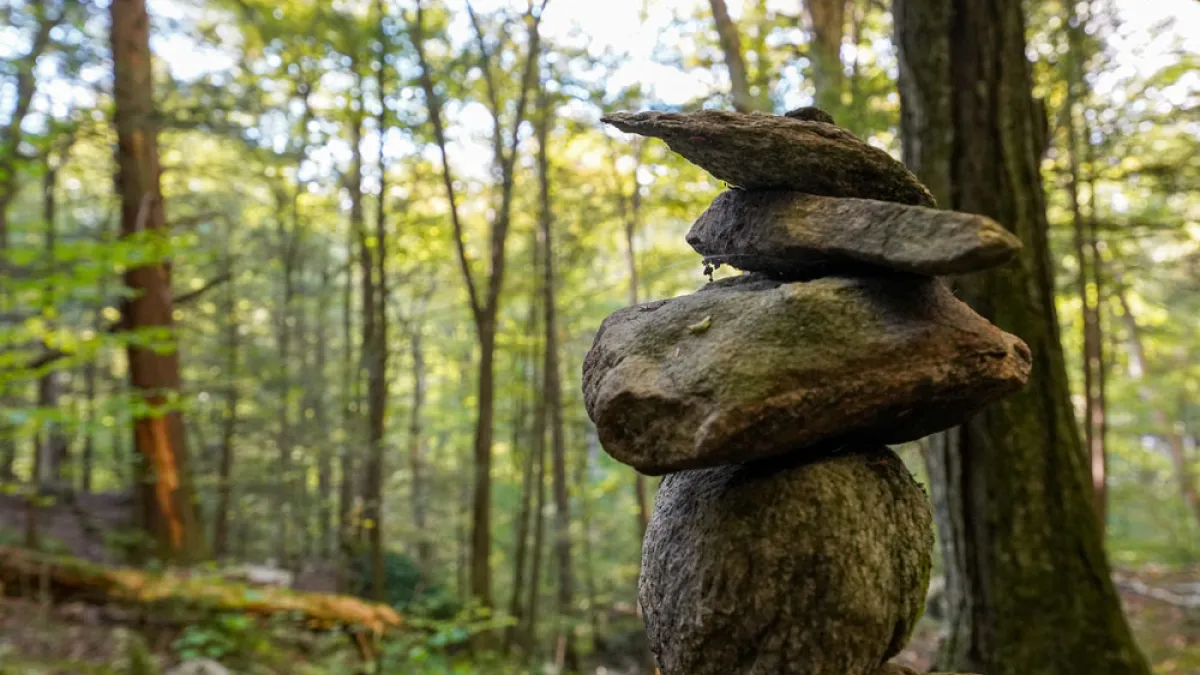 A stack of rocks alongside a stream in Trinity Forest