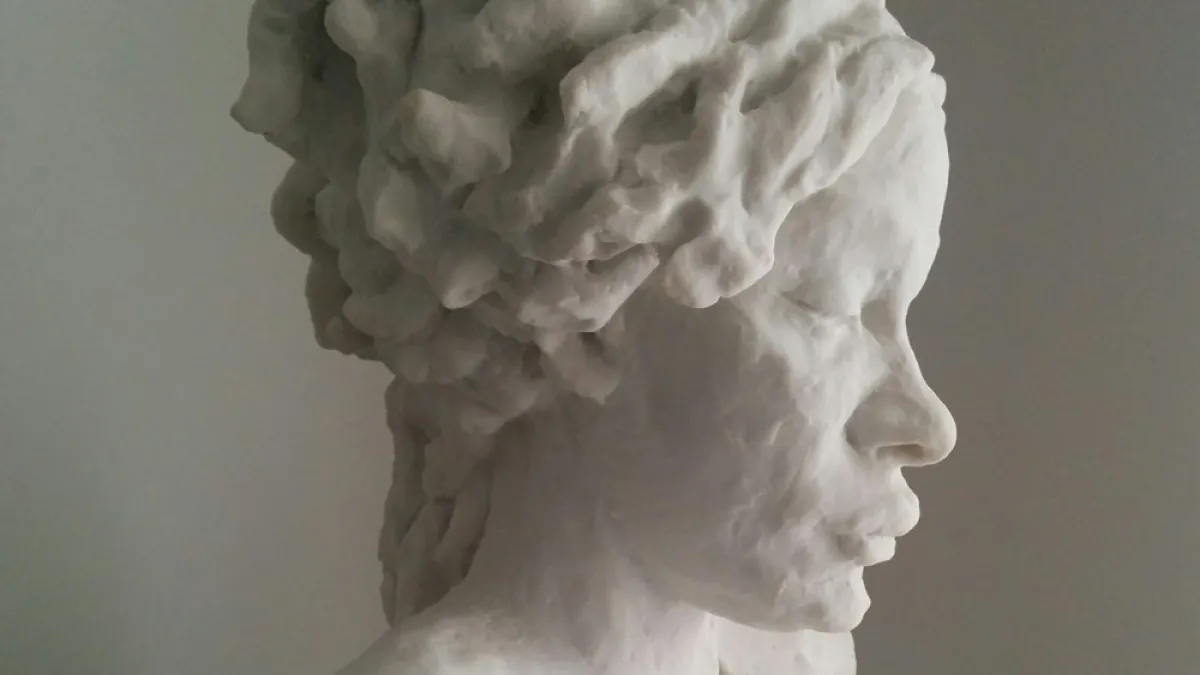White statue of woman's head