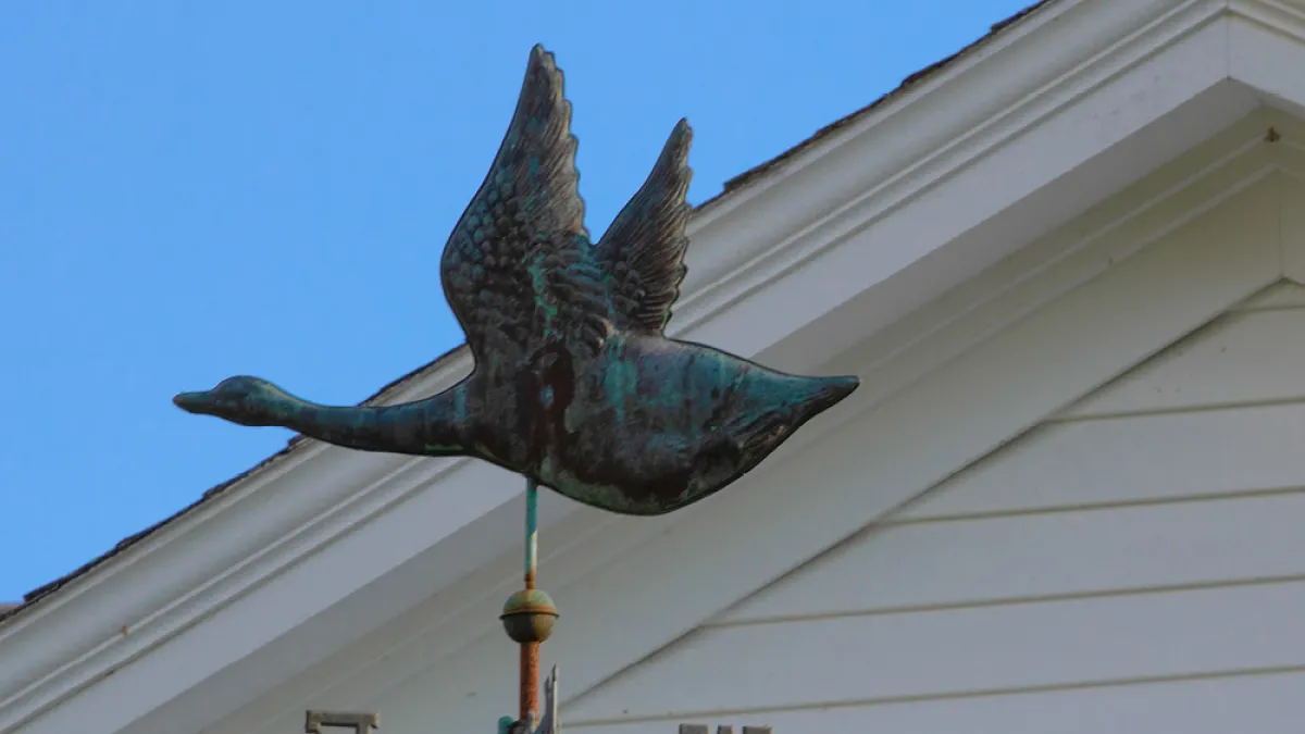 Duck weathervane