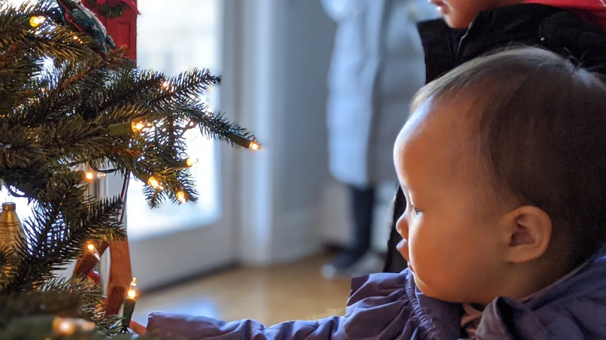 Children look at Christmas tree lights