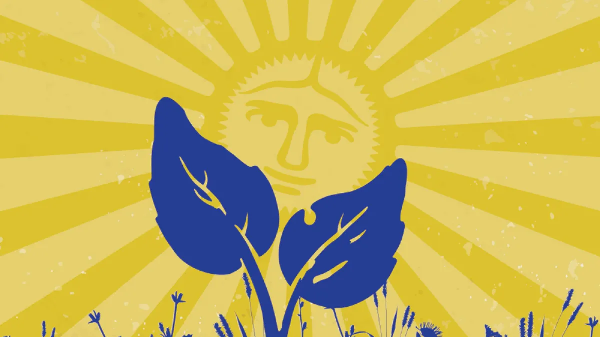 two leaves grow in front of a sun