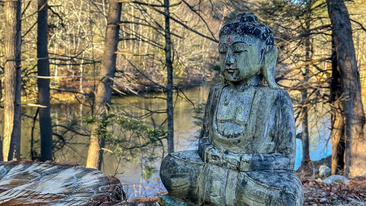 Buddha statue by lake