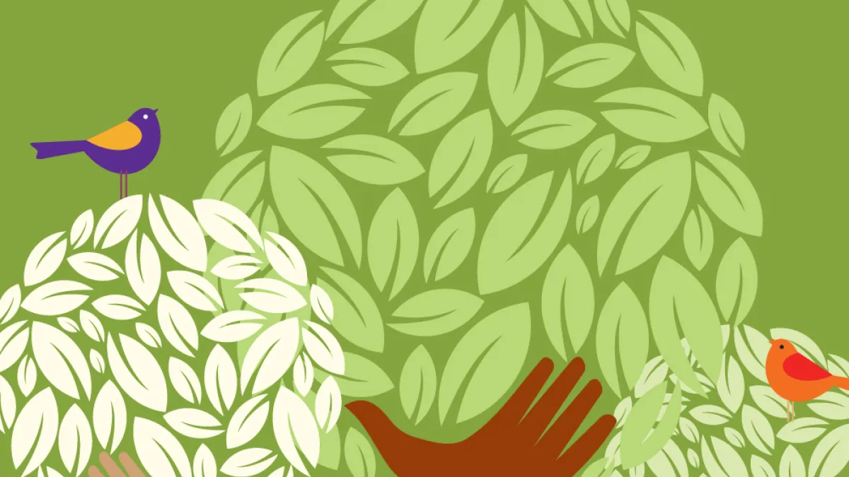 Illustration of trees whose trunks are hands. Two birds sit on top of the leaves.