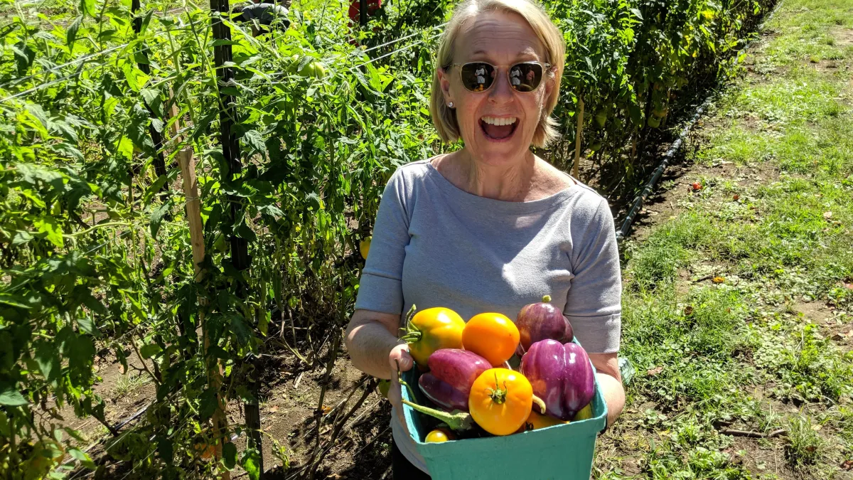 Harvesting vegetables