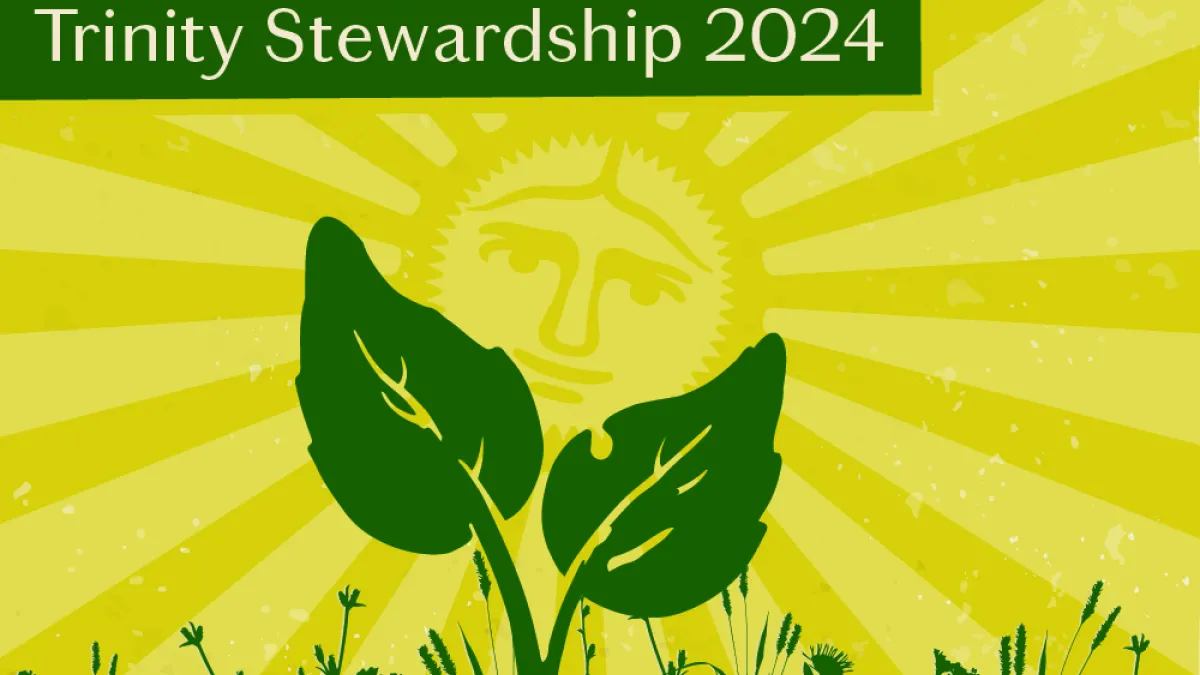 Green leaves emerge from the ground