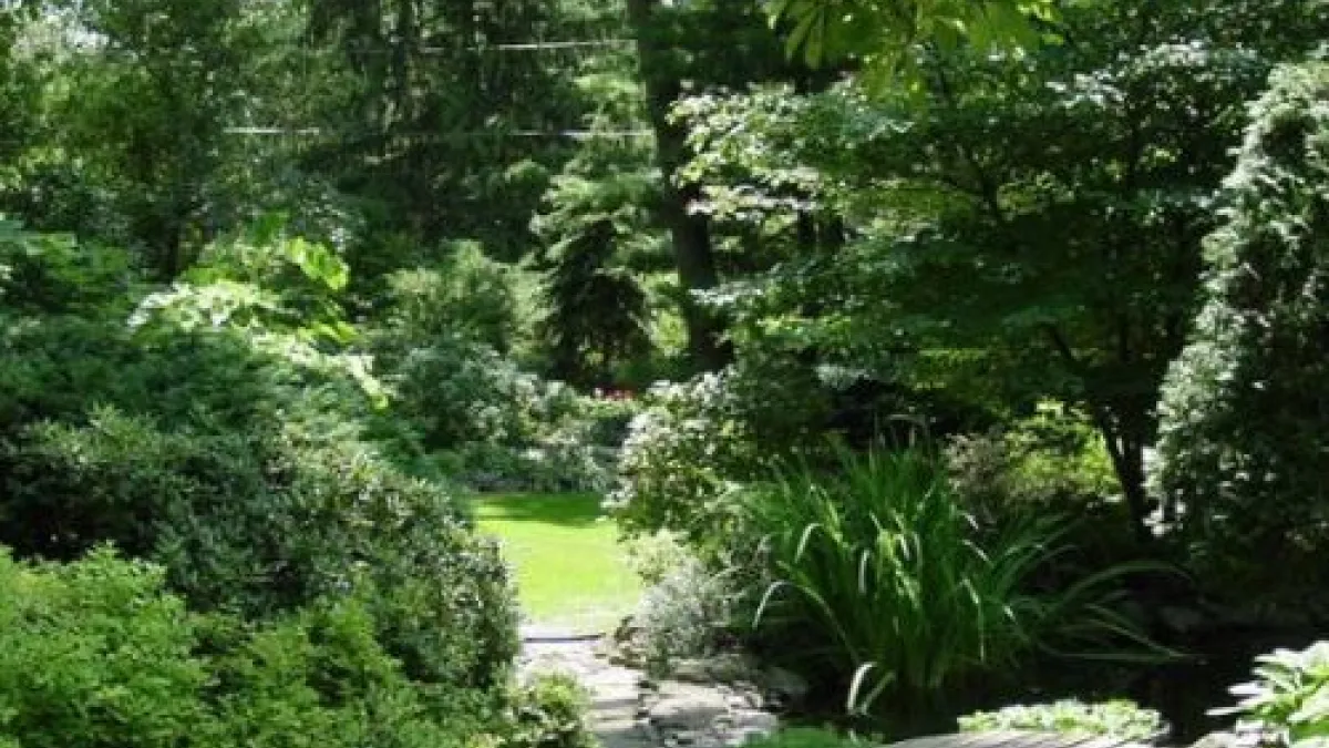 A footbridge over a stream