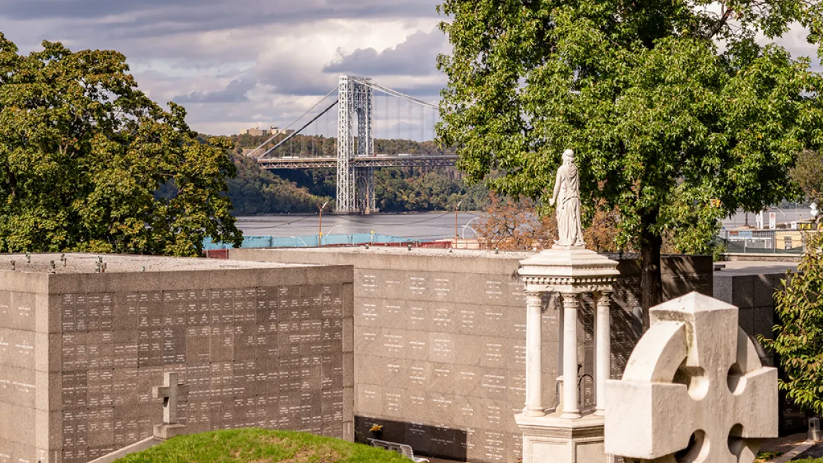 A Day in the Heights