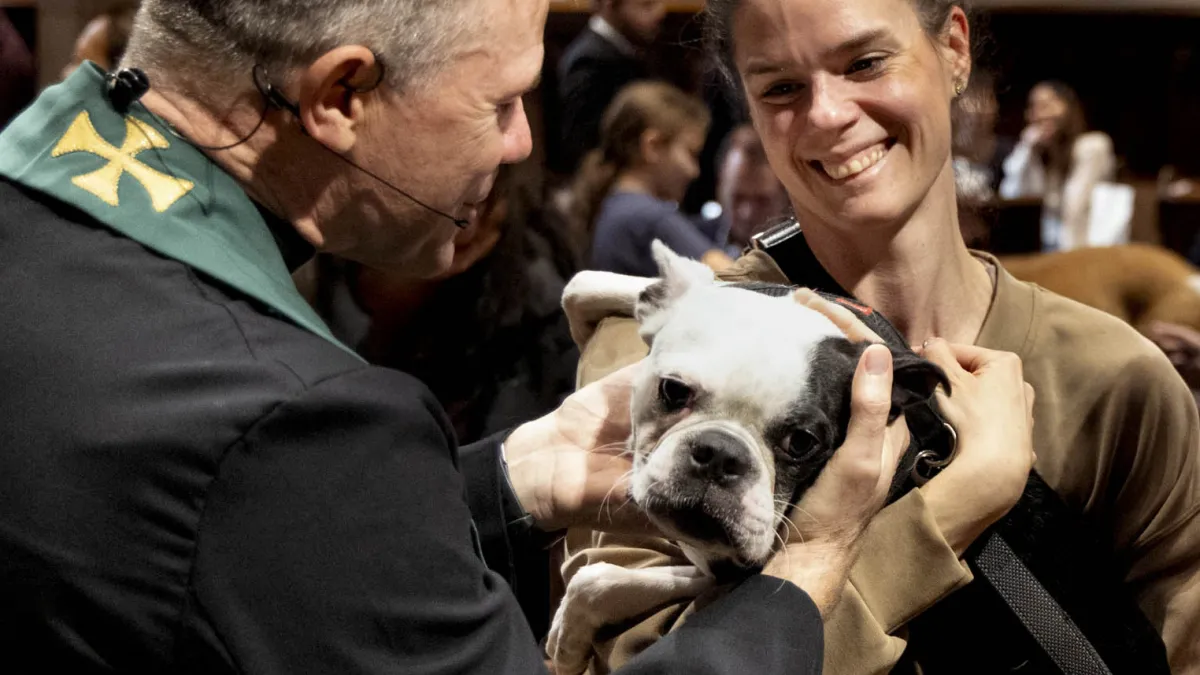 Blessing of the Animals