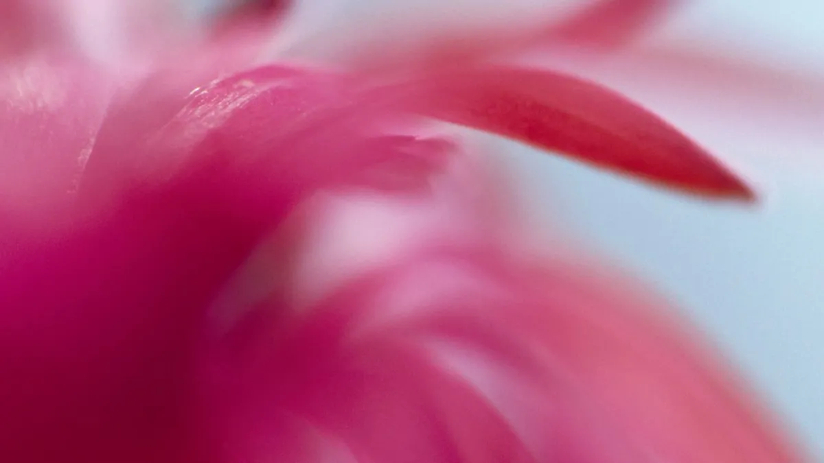 pink swirl