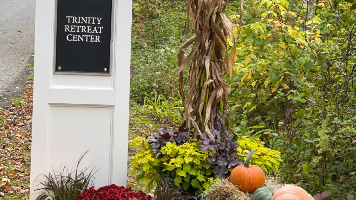 Pumpkins by the road 