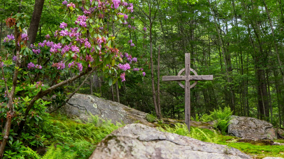 Spiritual Formation Book Retreat