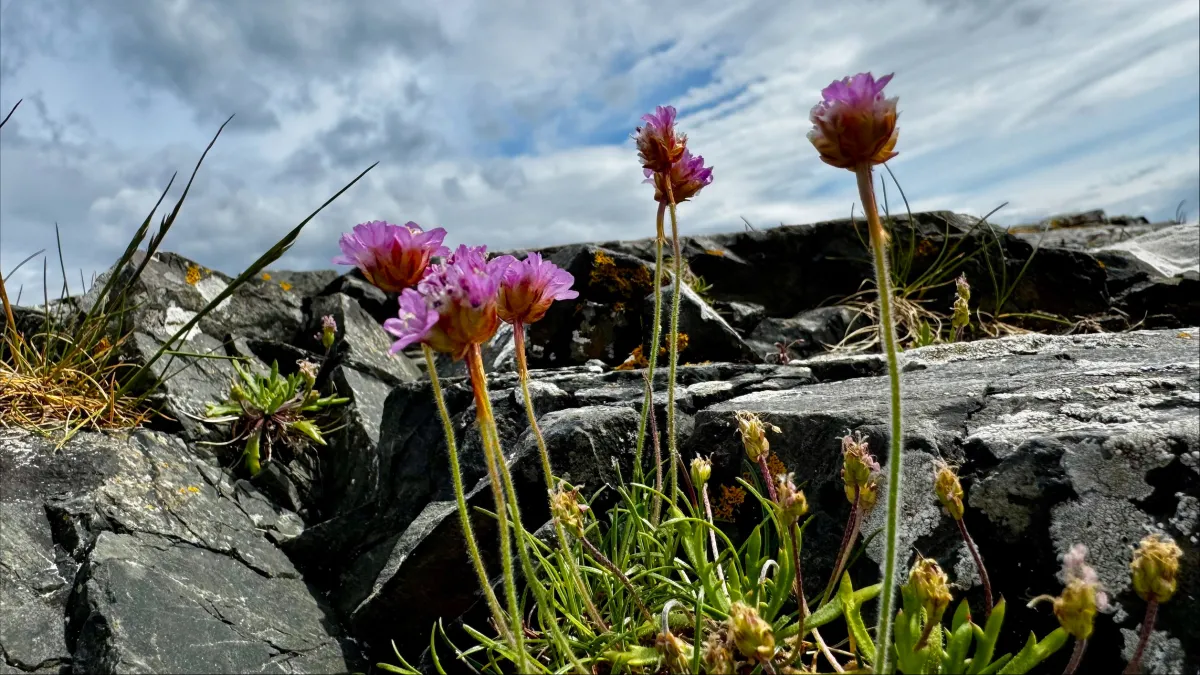 Celtic Spirituality Retreat