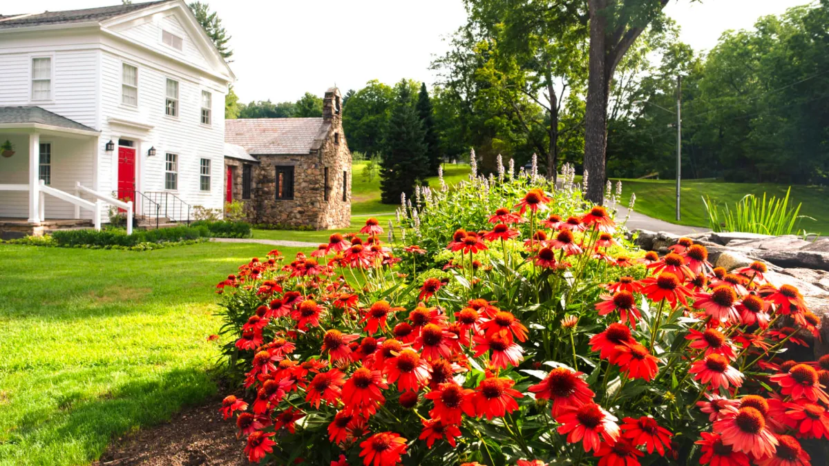 A white house with red flowers in the front