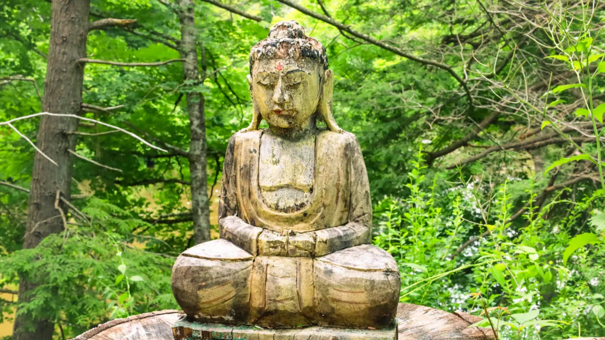 Bhudda in the woods