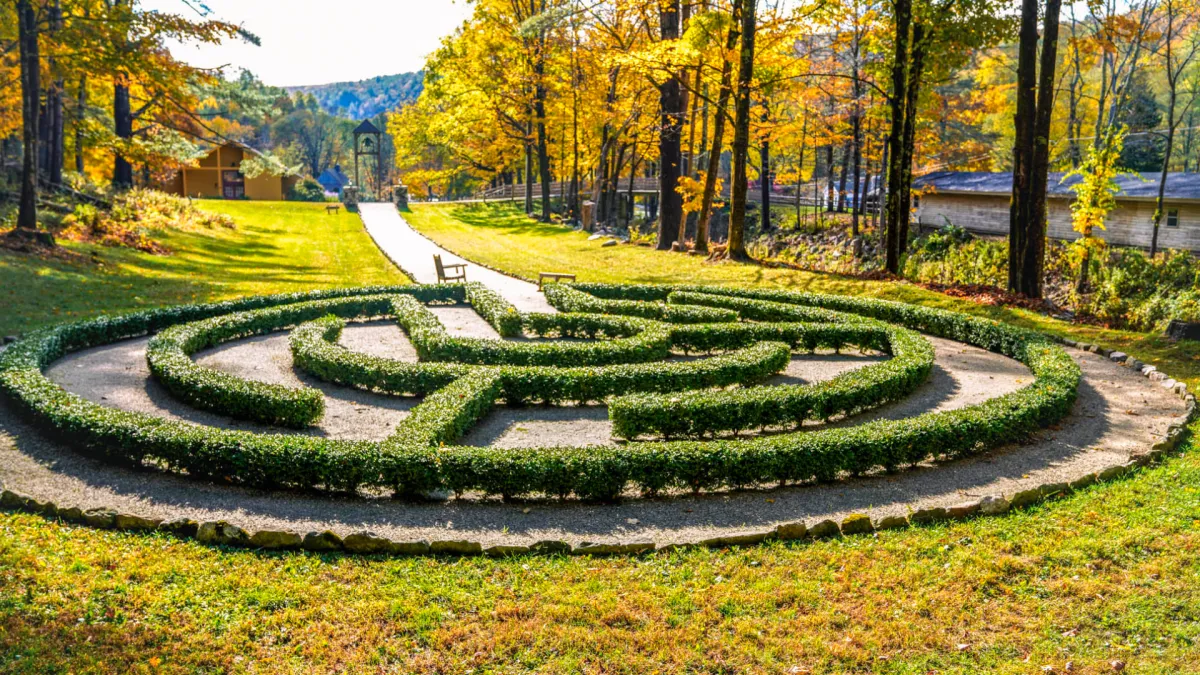 A maze in the woods